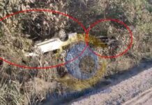 Acidente envolvendo caminhão-prancha e caminhonete é registrado na BR-435 entre Vilhena e Colorado do Oeste