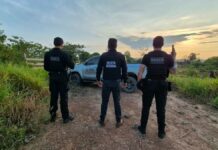 Operação “Ganatum II” combate esquema de sonegação de ICMS no setor pecuário