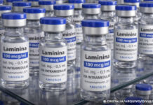 Testes clínicos fase 1 da polilaminina começam este mês