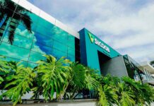 Sicoob e Sebrae apoiam mulheres empreendedoras com acesso a crédito por meio do FAMPE Mulher