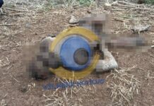 Corpo em avançado estado de decomposição é encontrado em área de mata em Vilhena
